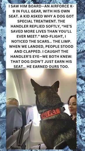 He Wasn’t Just a Dog… He Was a Hero in Uniform 🐾✈️