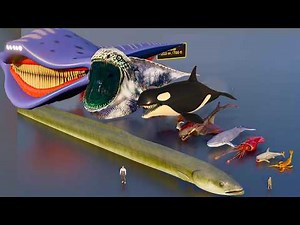Largest Sea Creatures Size Comparison | 3D #animation