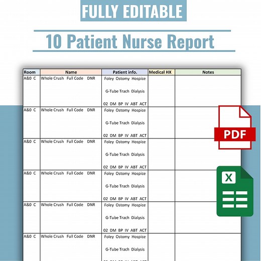 Nurse Report Sheet | 10 Patient Template (PDF & Excel) - Etsy