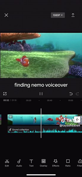 #fyp #fypage #foryou #viralvideos #voiceover #voiceovergod #nemovoiceover