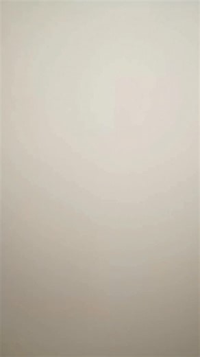 A hands-on look at our latest box ✋🏽 📦 Which item is your favorite? | The Curiosity Box