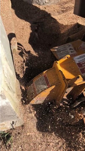 2 inch shave #stumpgrinding #treestump #construction