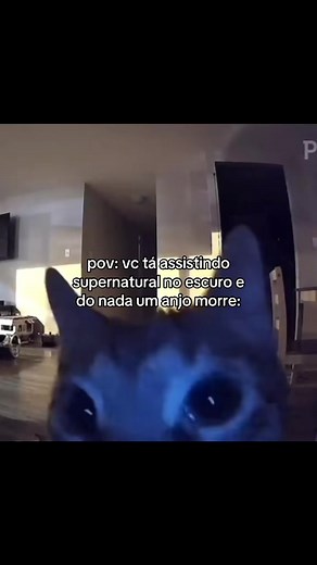 Anjo morre em Supernatural — cena do elevador e queda dos anjos