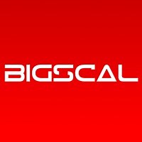 BIGSCAL TECHNOLOGIES Pvt. Ltd. | LinkedIn