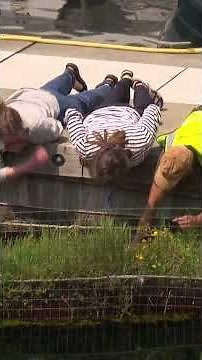 First-of-its-kind project helps struggling salmon population
