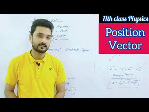 Position vector | class 11 physics | physics ka safar