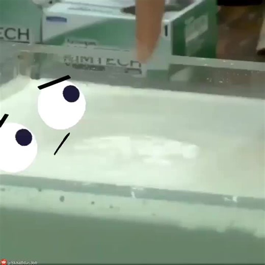 Hilarious Reddit GIFs Compilation