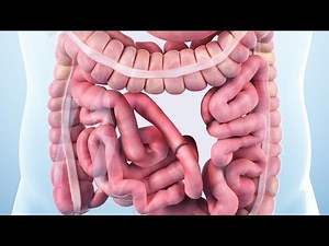 CPT code for Enterectomy - simplify medical coding