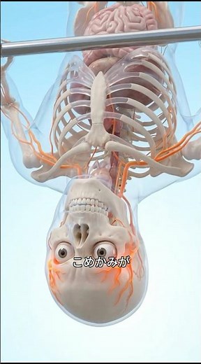 逆さ吊り40分で脳が壊れる…人間の限界を科学的に解説