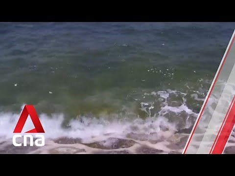 Singapore and most of Southeast Asia vulnerable to sea level rise: Reports