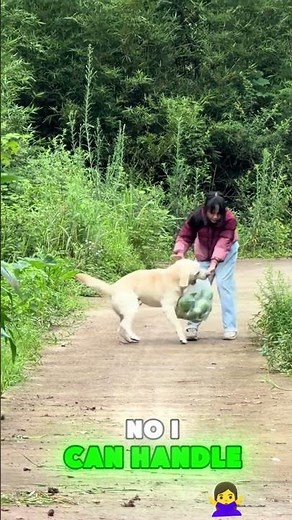 🐶😅💔The puppy meant well but ended up making things worse! #funny#funnyvideos