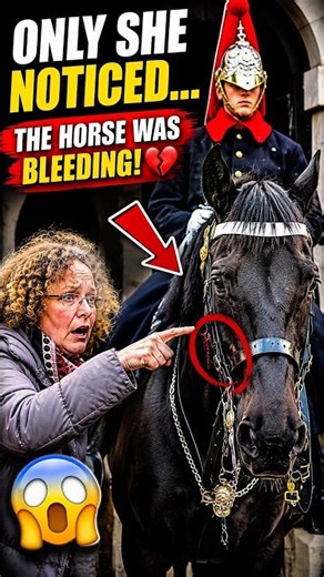 A Kind Woman Noticed The Royal Guard's Horse Was Bleeding... Watch What Happened Next 🇬🇧🐴