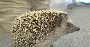 Planning is underway to move the Sacramento Zoo to Elk Grove