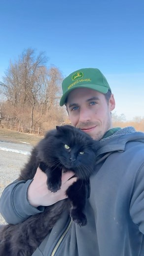 Draconblue on Instagram