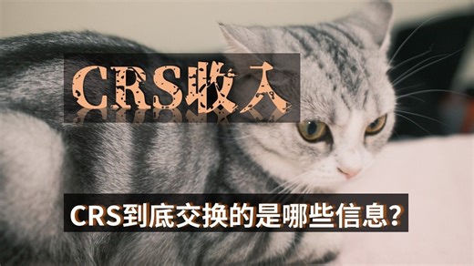 CRS到底交换的是哪些信息？