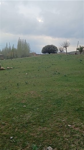 8-aprel, 2026. Kanalga obuna bo‘ling.