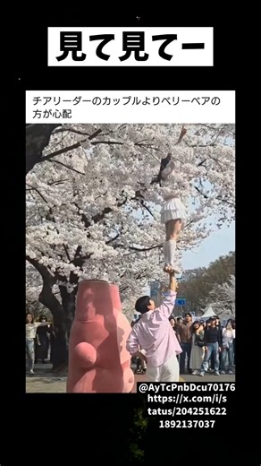 こっち見てよ #shorts #twitter #おすすめ #着ぐるみ #チアリーダー