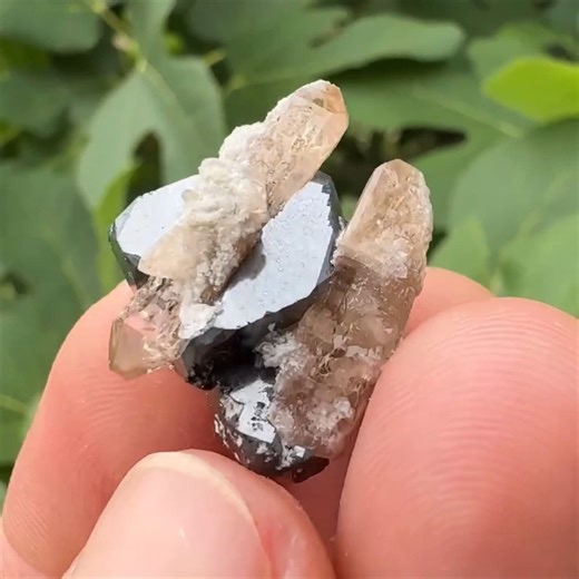Watch as we find some amazing Pink Topaz, Bixbyite, Pseudo Brookite, and other rare minerals with Topaz Mountain Minerals 👀💎⚒💎 #crystals #topaz #thecrystalcollector | The Crystal Collector