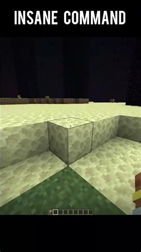insane command in minecraft #shorts