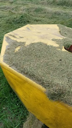 #hay #haytok #hayseason2023 #hayseason23 #hayking #missourihay #farmlife #farm #farmtok #freeseed #freeseeds #cuttinghay #feraboli #drummower #mf135 #combatcowboy #veteran #fyp #igy6 #cancersurvivor #strokesurvivor #missouri #missouricheck #missourifarm #missourifarmer #smallfarm #hardworkingman #hayfarmer #aglife #hotdaysofsummer #thursday #thursdayvibes #itsnotajobitsalifestyle #daysoffdontexist #missouriag #missouriagriculture #horsehay #betterlatethannever #highyeild