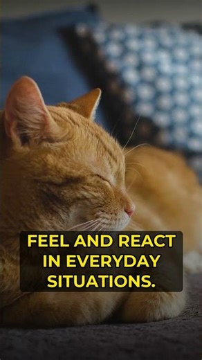 Your Brain's Parallel Reality: What Happens When You're Conscious?