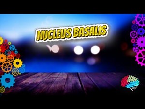 Nucleus basalis - Know It ALL 🔊✅