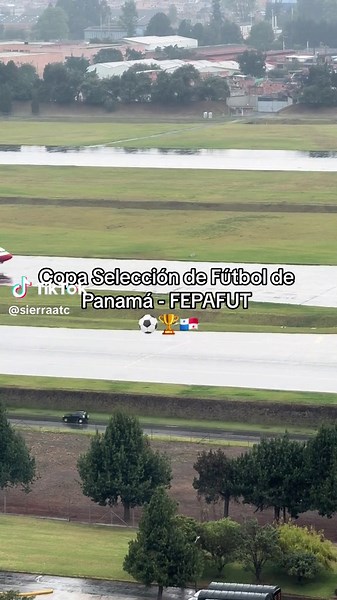 Boeing 737-800: Colores de la Selección Panameña