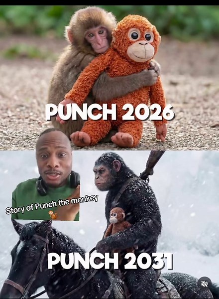 Story of Punch the monkey 🐒 #punch #2026 #march