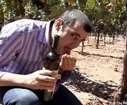 Watching the green screens at the Environmental Film Festival in D.C.