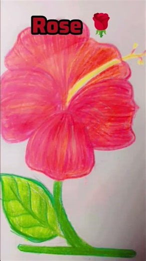 asthetic rose drawing 🌹🌹#asthetic #diy #rose #viral