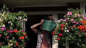 Flower Power Richard Jackson Premium Plant Food