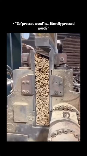 knowledge matrix on Instagram: "A short 37-second clip breaks down how particleboard is actually made—loose wood chips poured into a massive hydraulic press and squeezed into solid sheets, proving the name “pressed wood” is as literal as it sounds. The process repurposes leftover wood waste blended with resin, then compresses it under extreme heat and pressure reaching nearly 50 atmospheres. In 2024 alone, this method produced over 56 million cubic meters worldwide, powering affordable furniture