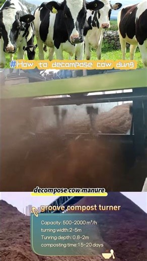 how to decompose cow dung fast and effectively
