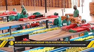 3.3K views · 50 reactions | #SouthAfrica's new land law gains a global audience as #DonaldTrump falsely accuses Pretoria of seizing white-owned land Successful collaborations between new and older landowners have shut down the US leader's claims. Mohammed Saleh brings you this report by Kalden Ongmu | WION | Facebook