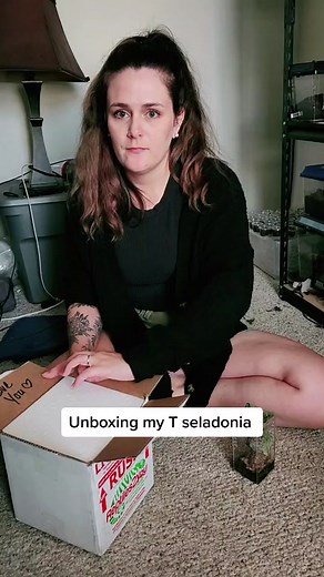 The most beautiful tiny spider from @fanghubtarantulas 🥺💖😭 #spider #tarantula #exoticpets #fyp #foryoupage