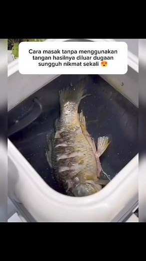 Mudah, campak2. Pastu tinggal je. Beli disini 👉🏻 https://shope.ee/50CdW9JlVI | Resepi Kampung