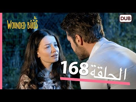 الطيور الجريحة | الحلقة الكاملة 168 | مدبلج عربي