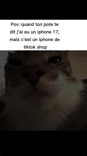 Funny iPhone POV Moments that Will Make You Laugh