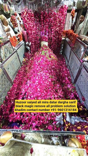 🥰 Mira Datar Dargha🥰 New Status Qawwali🥰 All Problem Solution | Dargha Sharif Mo. + 91 9601316184