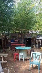 4.7K views · 64 reactions | The Fastest Growing Tree in the World...