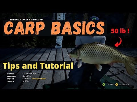 Carp Basics - Tips & Tutorial - What to do when Starting Part #2 - Fishing Sim World Pro Tour 2020