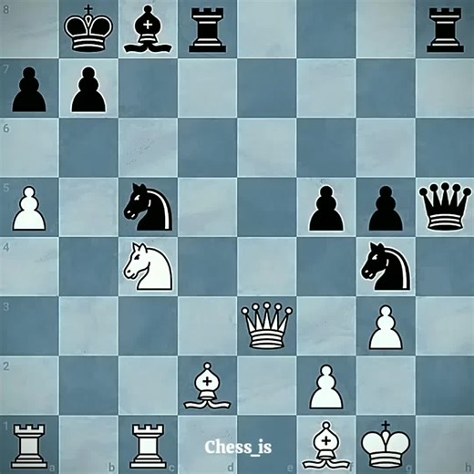 Chees Of the king on TikTok