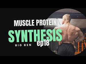 Why Muscle Growth Slows Down The Science of Diminishing Returns