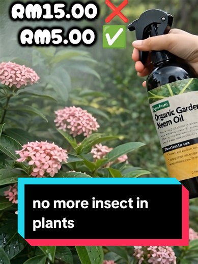 Effective Organic Insect Spray for Plants