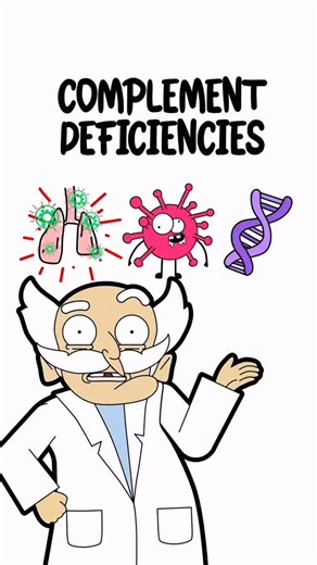 Study Smarter with MedSchoolBro on Instagram: "Code HAVIC @medschoolbro = Mystery Discount Complement System: 30-sec Review 🛣 Three pathways lead to complement activation: • Classical pathway activated by IgG or IgM • Alternative pathway activated by microbial surfaces • Lectin pathway activated by mannose on microbes 🌀 C3 convertase produces C3a and C3b. 🔥 C5 convertase produces C5a and C5b. 💥 MAC (C5b–C9) forms pores that destroy microbes, especially Neisseria. 🔑 Key functions: • C3a and 