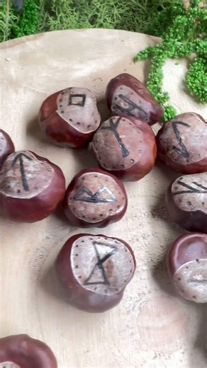 Ručně vypalovaná magická runová sada z velkých kaštanů - www.gallaterra.cz