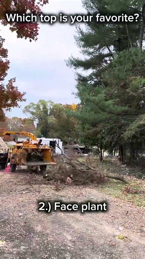 Proof Tree Cutting Isn’t Predictable