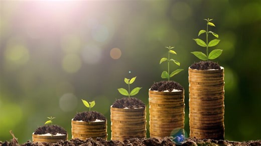 Money from trees: What of Guyana's Indigenous people and their rights — and do they benefit from the carbon trade?