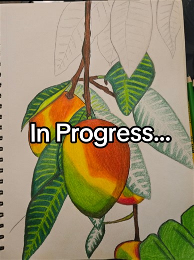 Mango Tree Drawing in Progress