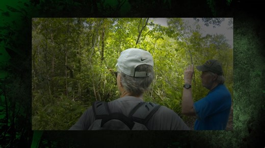 The remote island of Peleliu is considered the most well-preserved battlefield in the world. It is illegal to remove any relic from the island, so the battlefield remains almost as it was when the fight here ended in the fall of 1944. Tune in today at 3 p.m. | Iowa PBS